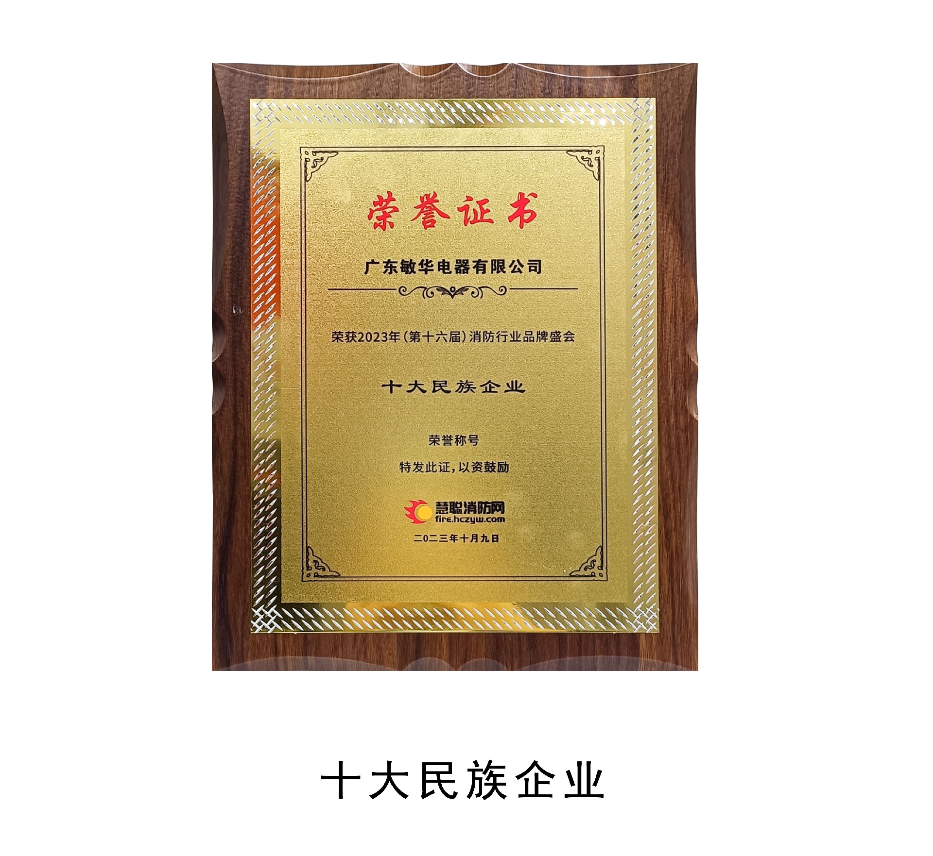 十大民族企业